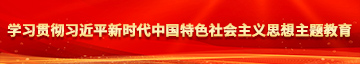 操逼啊啊好舒服视频学习贯彻习近平新时代中国特色社会主义思想主题教育